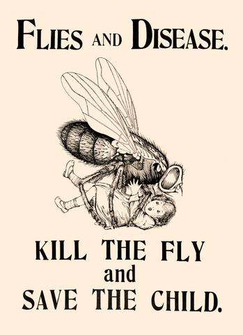 Kill the fly and save the child — British poster