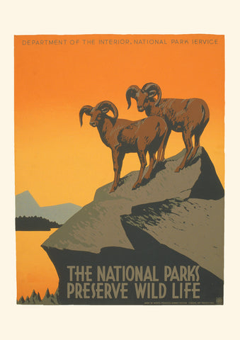 The National Parks preserve wild life – American poster