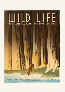 The National Parks preserve all life – American poster